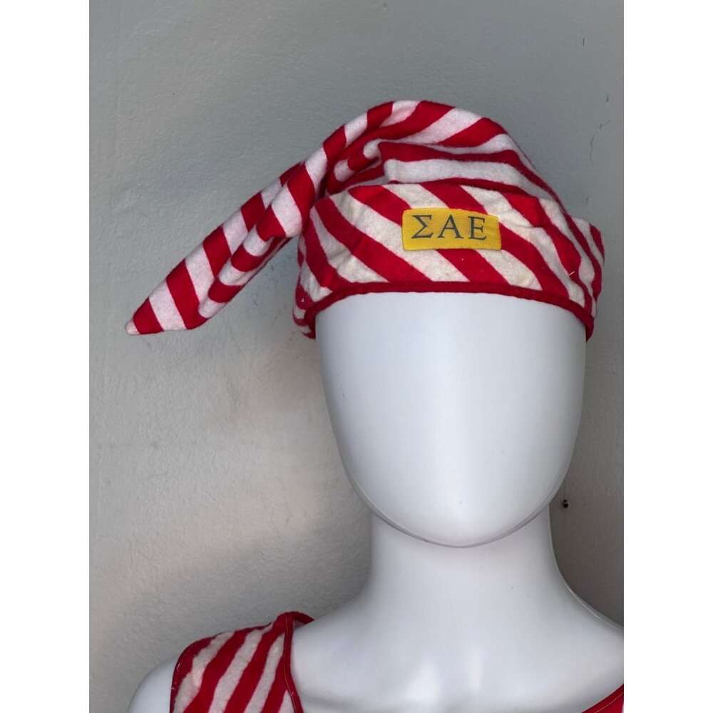 Vintage 1950s/60s Sigma Alpha Epsilon Pajama Party Flannel Night Shirt and Cap - Picture 5 of 10